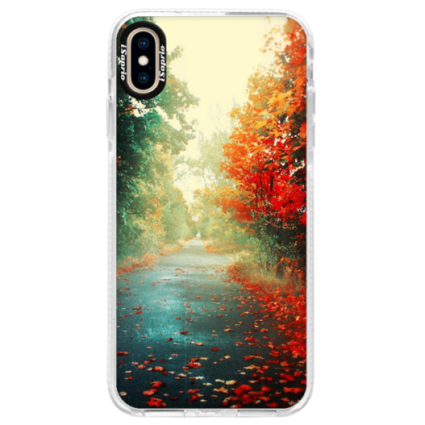 Silikonové pouzdro Bumper iSaprio - Autumn 03 - iPhone XS Max