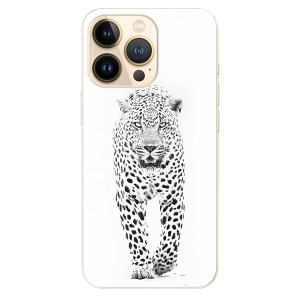 White Jaguar